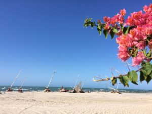 nordeste