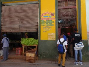sucrede canne cuba