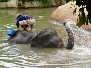 thaïlande