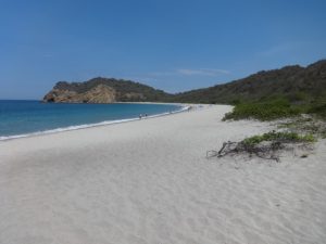 Amérique du sud