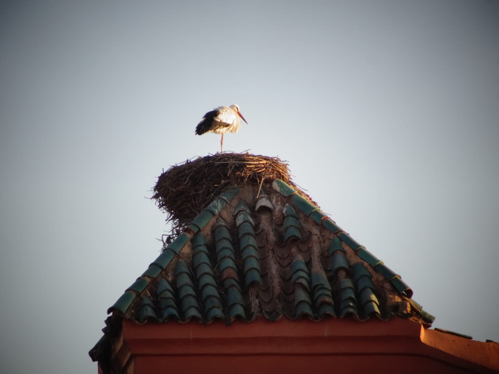 Marrakech