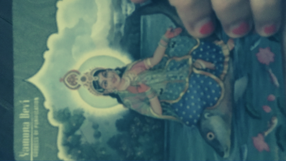 bali carte oracle