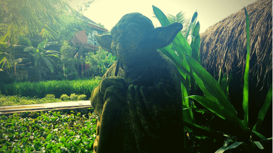 bali cercle de femmes