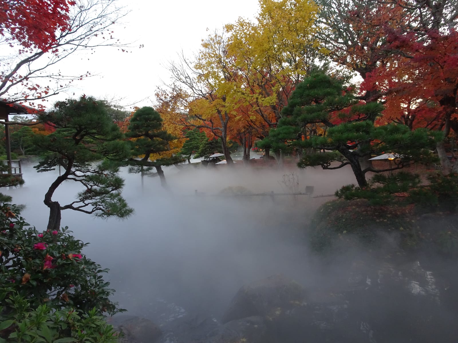 Jardin Matsue