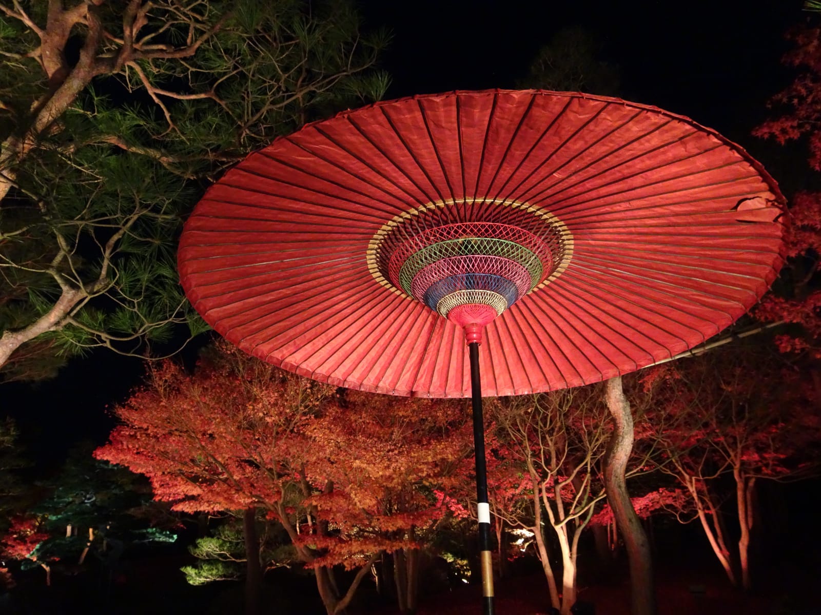 Jardin Matsue