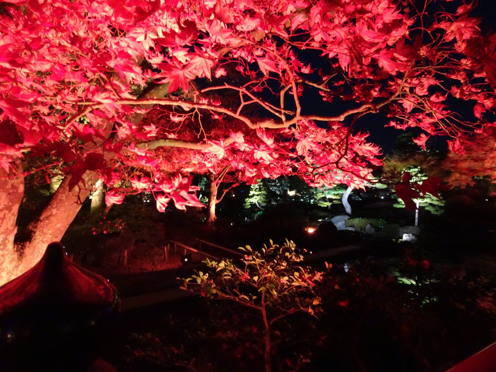 Jardin Matsue